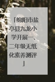 绵阳市盐亭县九龙小学开展一、二年级无纸化素养测评