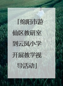 绵阳市游仙区教研室到云凤小学开展教学视导活动