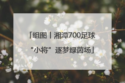 组图丨湘潭700足球“小将”逐梦绿茵场