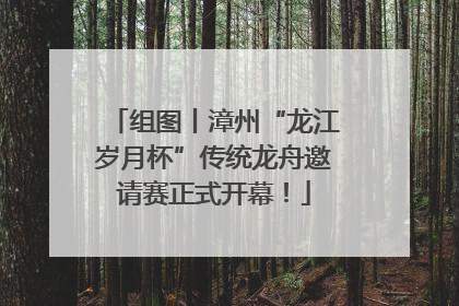 组图丨漳州“龙江岁月杯”传统龙舟邀请赛正式开幕！