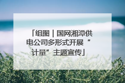 组图｜国网湘潭供电公司多形式开展“计量”主题宣传