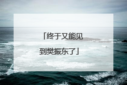 终于又能见到樊振东了