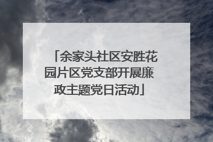 余家头社区安胜花园片区党支部开展廉政主题党日活动