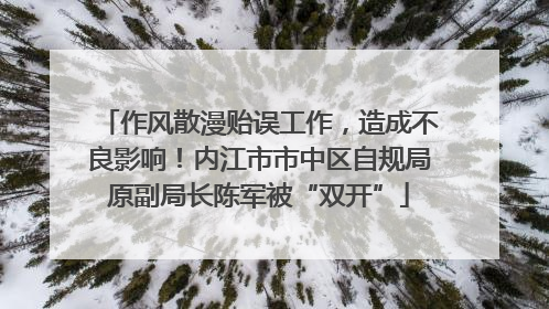 作风散漫贻误工作，造成不良影响！内江市市中区自规局原副局长陈军被“双开”