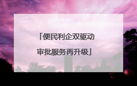 便民利企双驱动 审批服务再升级