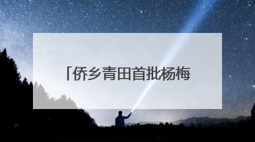 侨乡青田首批杨梅启程新加坡 保鲜提质售出“金果果”