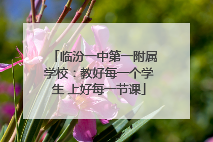 临汾一中第一附属学校：教好每一个学生 上好每一节课