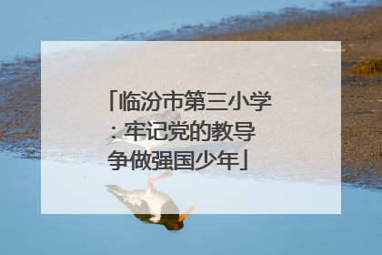 临汾市第三小学：牢记党的教导 争做强国少年