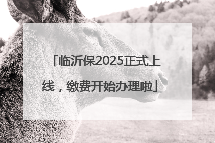 临沂保2025正式上线，缴费开始办理啦