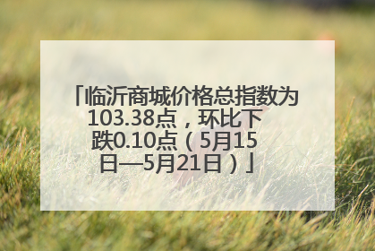 临沂商城价格总指数为103.38点，环比下跌0.10点（5月15日—5月21日）