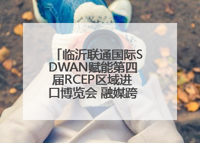 临沂联通国际SDWAN赋能第四届RCEP区域进口博览会 融媒跨境直播畅行无阻