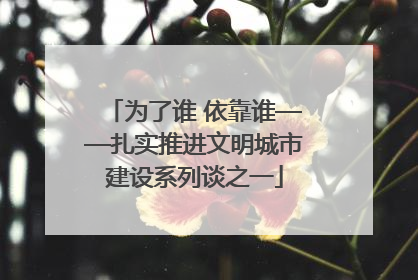 为了谁 依靠谁——扎实推进文明城市建设系列谈之一