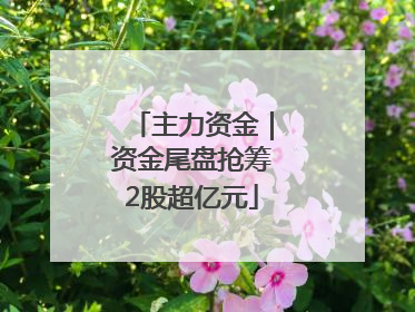 主力资金｜资金尾盘抢筹2股超亿元