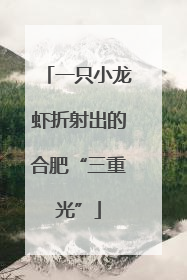 一只小龙虾折射出的合肥“三重光”