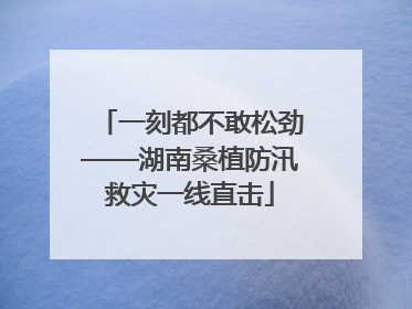 一刻都不敢松劲——湖南桑植防汛救灾一线直击