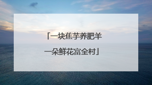 一块蕉芋养肥羊 一朵鲜花富全村