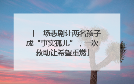 一场悲剧让两名孩子成“事实孤儿”，一次救助让希望重燃
