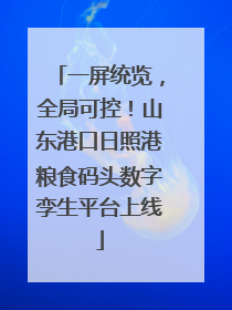 一屏统览，全局可控！山东港口日照港粮食码头数字孪生平台上线