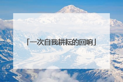 一次自我耕耘的回响
