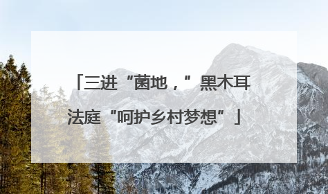 三进“菌地，”黑木耳法庭“呵护乡村梦想”