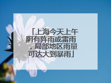 上海今天上午阴有阵雨或雷雨，局部地区雨量可达大到暴雨