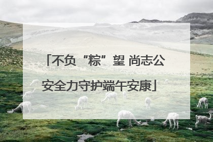 不负“粽”望 尚志公安全力守护端午安康