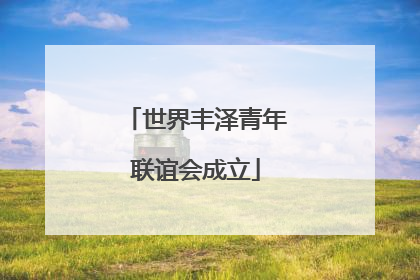 世界丰泽青年联谊会成立