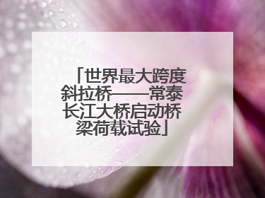 世界最大跨度斜拉桥——常泰长江大桥启动桥梁荷载试验