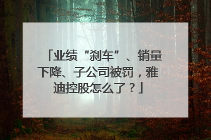 业绩“刹车”、销量下降、子公司被罚，雅迪控股怎么了？