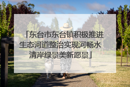 东台市东台镇积极推进生态河道整治实现河畅水清岸绿景美新愿景