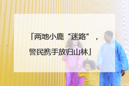 两地小鹿“迷路”，警民携手放归山林