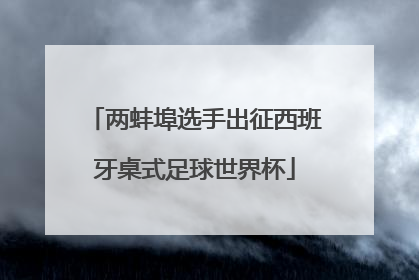 两蚌埠选手出征西班牙桌式足球世界杯
