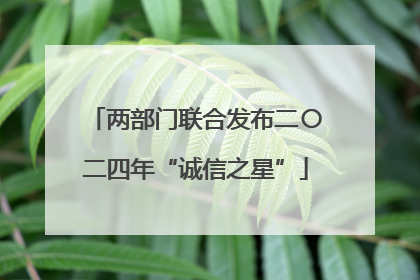 两部门联合发布二〇二四年“诚信之星”