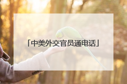 中美外交官员通电话