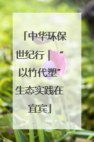 中华环保世纪行｜“以竹代塑”生态实践在宜宾