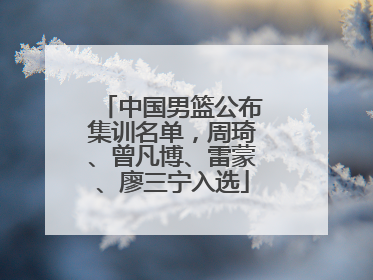 中国男篮公布集训名单，周琦、曾凡博、雷蒙、廖三宁入选