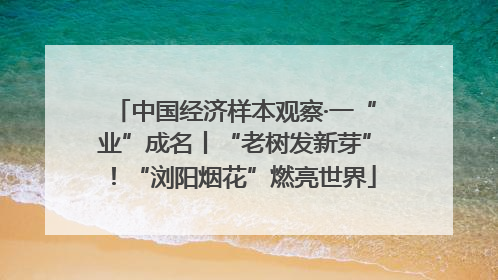 中国经济样本观察·一“业”成名丨“老树发新芽”！“浏阳烟花”燃亮世界