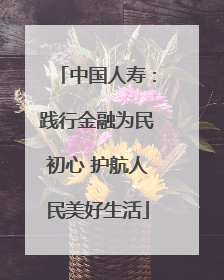 中国人寿：践行金融为民初心 护航人民美好生活