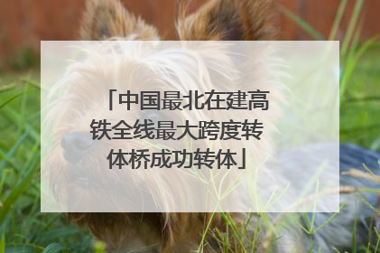 中国最北在建高铁全线最大跨度转体桥成功转体