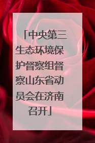 中央第三生态环境保护督察组督察山东省动员会在济南召开
