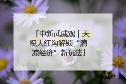 中新武威观｜天祝大红沟解锁“清凉经济”新玩法