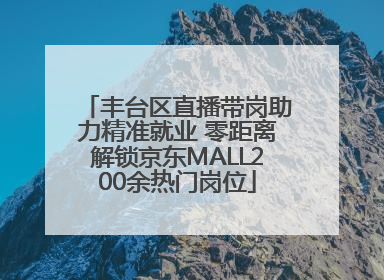 丰台区直播带岗助力精准就业 零距离解锁京东MALL200余热门岗位