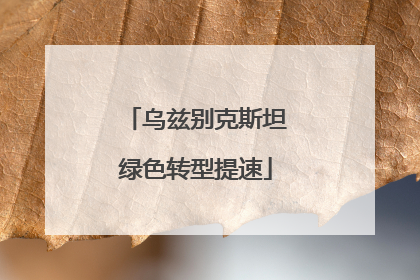 乌兹别克斯坦绿色转型提速