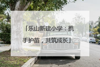 乐山新建小学：携手护苗，共筑成长