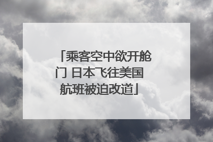 乘客空中欲开舱门 日本飞往美国航班被迫改道