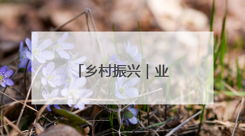 乡村振兴｜业旺鱼肥夏捕忙