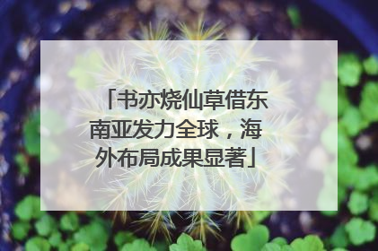 书亦烧仙草借东南亚发力全球，海外布局成果显著