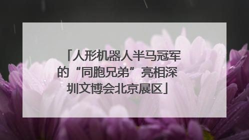 人形机器人半马冠军的“同胞兄弟”亮相深圳文博会北京展区