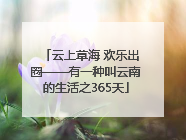 云上草海 欢乐出圈——有一种叫云南的生活之365天