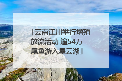云南江川举行增殖放流活动 逾54万尾鱼游入星云湖
